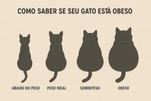 Como Saber se o Gato Está Obeso
