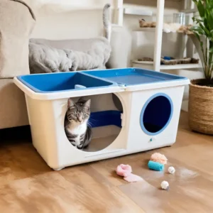 Como Adestrar um Gato Filhote