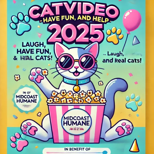 CatVideoFest