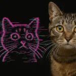 OIIA Cat Trend