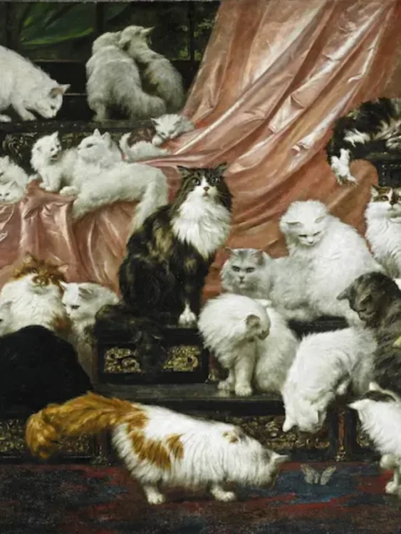 A Excêntrica da Pintura de Gato