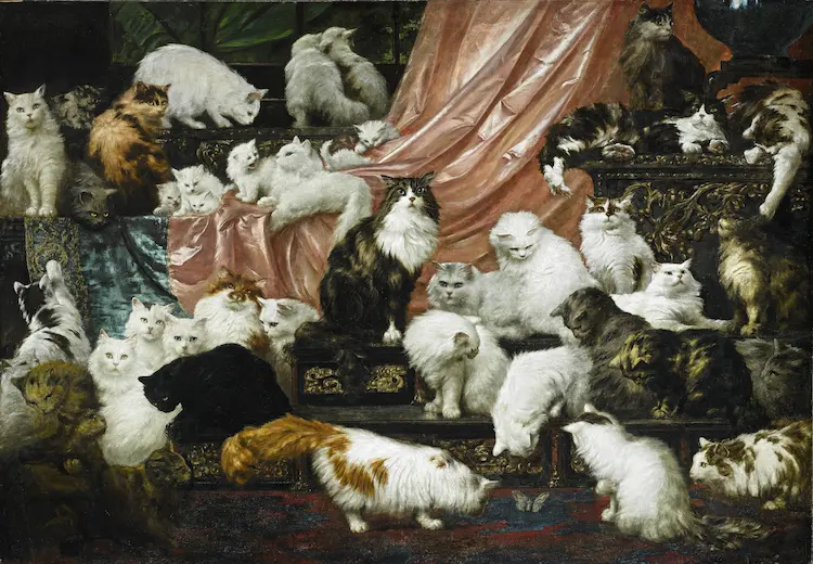 A Excêntrica da Pintura de Gato