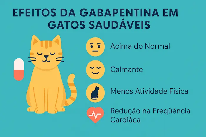 Gabapentina em Gatos Saudáveis: O que a ciência mostra? . Gabapentina em Gatos Saudáveis