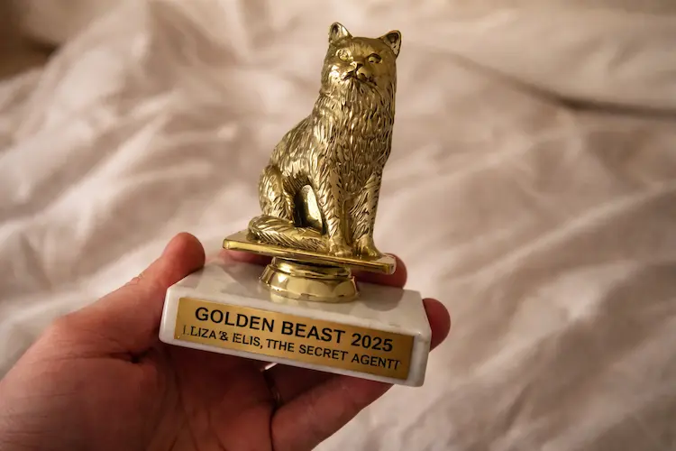 A gata de O Agente Secreto: Carminha recebe o prêmio Golden Beast, reconhecimento internacional que consagrou o fenômeno felino no cinema