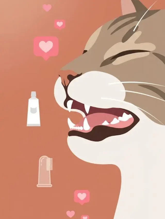 Dentes de Gato: Limpar em Casa (Sem Estresse!)